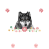 Saarloos Wolfhond