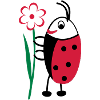 Coccinelle avec fleurs