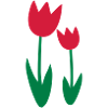 Tulpen