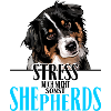 AUSTRALIAN SHEPHERD stress not me