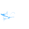 Fishing dad