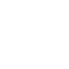 Homo