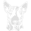BULL TERRIER PORTRAIT