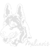 MALINOIS PORTRAIT