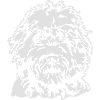 LABRADOODLE PORTRAIT