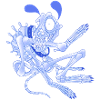 Dog bone