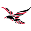 Tribal Raven 2c