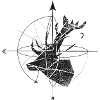 Deer geometry