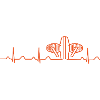 Heartbeat Boxer orange