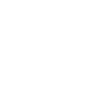 100 TERRIER FRONTIÈRE