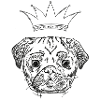 Dog 1