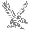 aigle eagle