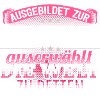 JUSTIZFACHANGESTELLTE - Die Auserwählte