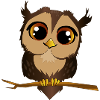 owl