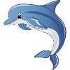 dolphin