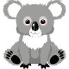 Cute koala
