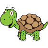 Turtle Solo