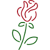 flower rose