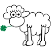 Sheep with clover