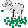 st. Patrick's sheep
