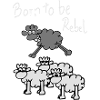 rebel sheep