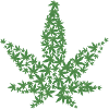 Weed Gras