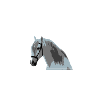 Andalusian
