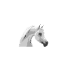 chevaux arabes