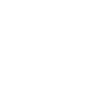 Levi
