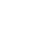 Levin
