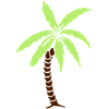 Palme - Sommer - Strand