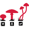 Champignons, tuant alimentaires psilocybine