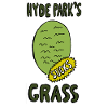 Hyde Park's Grass SUCK