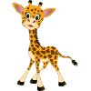 Girafe