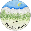 Pescho Anvi