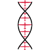 dna glider pilot