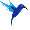 HUMMINGBIRD T SHIRT