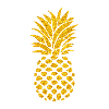 Pineapple Summer Vibe
