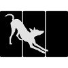 Podenco, ibizan hound 1