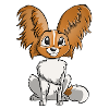 Spaniel Papillon