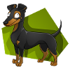Manchester Terrier