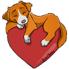 Nova Scotia Heart