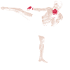 Kickboxer