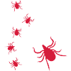 Ticks