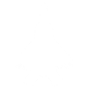 F-22 Raptor weiß