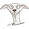 Windhund
