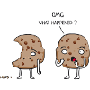 Cookies OMG