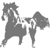 Cheval de course