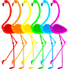 Pride Flamingos