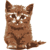 châton roux, cat